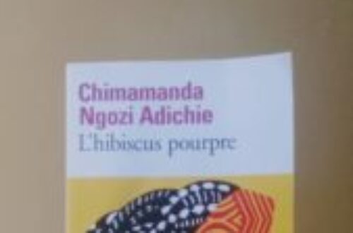 Article : J’ai (enfin) lu L’hibiscus Pourpre de Chimamanda Ngozi Adichie